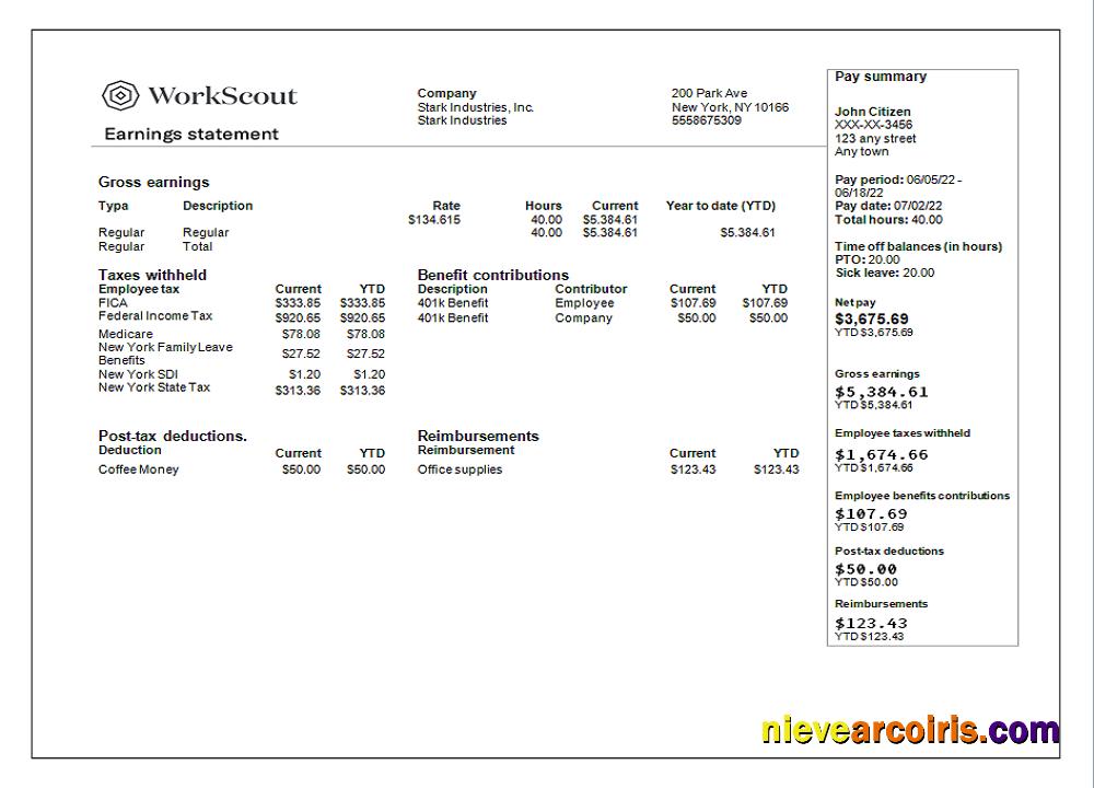 USA IT technologies company earning statement